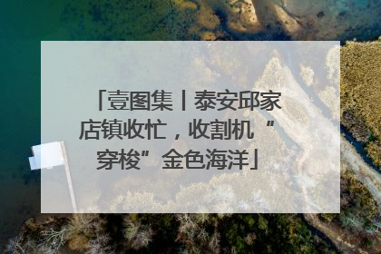 壹图集丨泰安邱家店镇收忙，收割机“穿梭”金色海洋