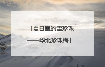 夏日里的雪珍珠——华北珍珠梅