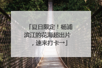 夏日限定！杨浦滨江的花海超出片，速来打卡→