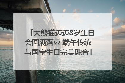 大熊猫迈迈8岁生日会圆满落幕 端午传统与国宝生日完美融合