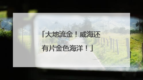 大地流金！威海还有片金色海洋！