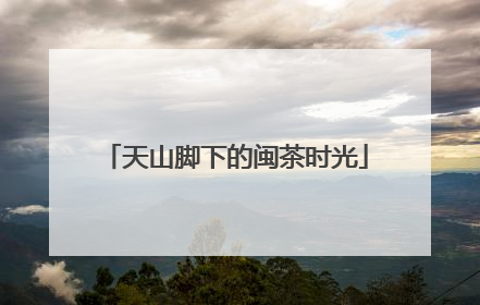 天山脚下的闽茶时光