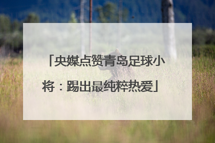 央媒点赞青岛足球小将：踢出最纯粹热爱