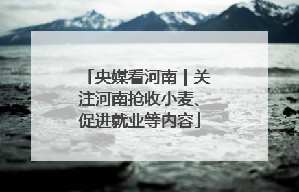 央媒看河南｜关注河南抢收小麦、促进就业等内容