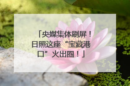 央媒集体刷屏！日照这座“宝藏港口”火出圈！