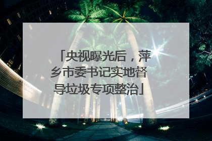 央视曝光后，萍乡市委书记实地督导垃圾专项整治