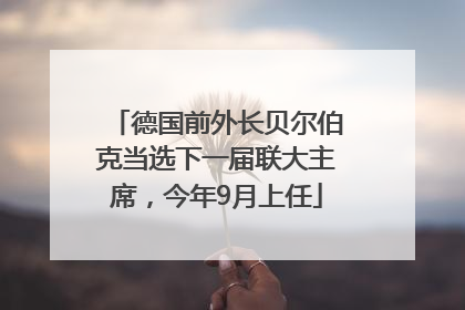 德国前外长贝尔伯克当选下一届联大主席，今年9月上任
