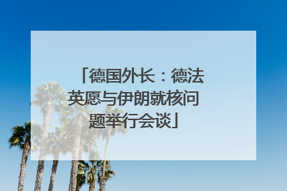 德国外长：德法英愿与伊朗就核问题举行会谈