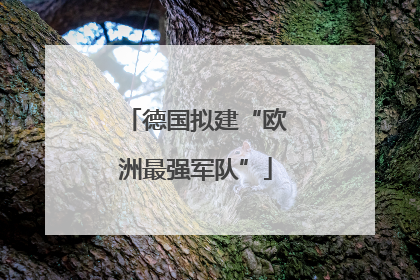 德国拟建“欧洲最强军队”