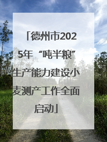 德州市2025年“吨半粮”生产能力建设小麦测产工作全面启动