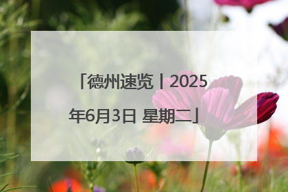 德州速览丨2025年6月3日 星期二