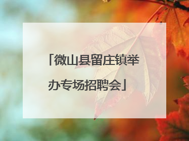 微山县留庄镇举办专场招聘会