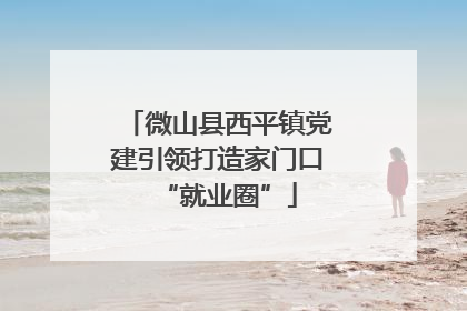 微山县西平镇党建引领打造家门口“就业圈”
