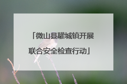 微山县驩城镇开展联合安全检查行动