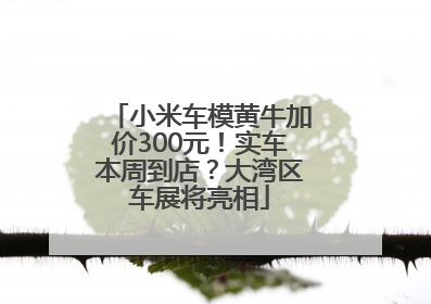 小米车模黄牛加价300元！实车本周到店？大湾区车展将亮相