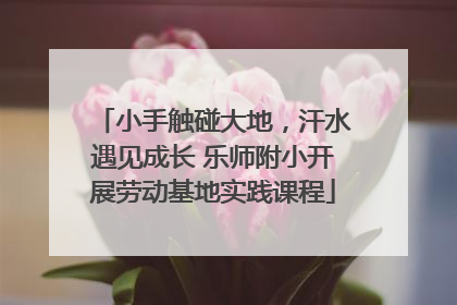 小手触碰大地，汗水遇见成长 乐师附小开展劳动基地实践课程