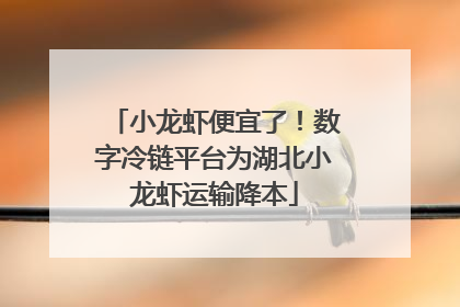 小龙虾便宜了！数字冷链平台为湖北小龙虾运输降本