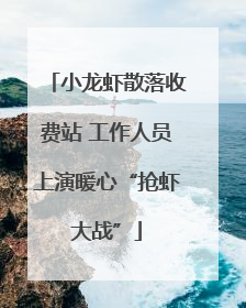 小龙虾散落收费站 工作人员上演暖心“抢虾大战”