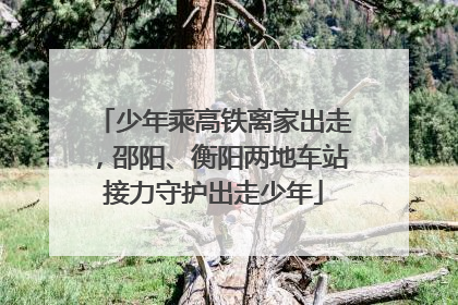 少年乘高铁离家出走，邵阳、衡阳两地车站接力守护出走少年