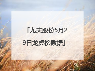尤夫股份5月29日龙虎榜数据