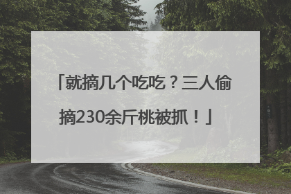 就摘几个吃吃？三人偷摘230余斤桃被抓！