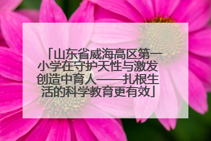山东省威海高区第一小学在守护天性与激发创造中育人——扎根生活的科学教育更有效