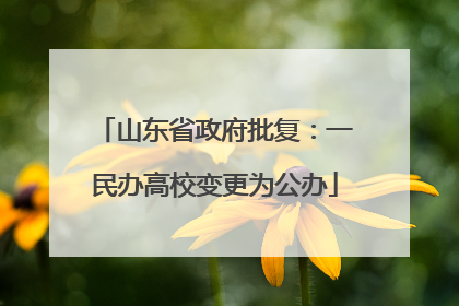 山东省政府批复：一民办高校变更为公办