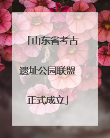 山东省考古遗址公园联盟正式成立