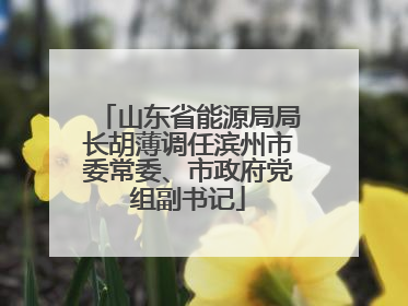 山东省能源局局长胡薄调任滨州市委常委、市政府党组副书记
