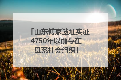 山东傅家遗址实证4750年以前存在母系社会组织