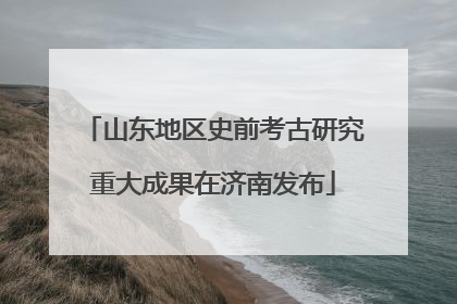 山东地区史前考古研究重大成果在济南发布