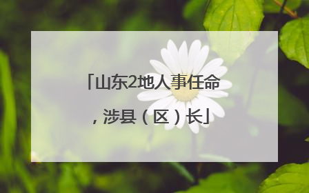 山东2地人事任命，涉县（区）长