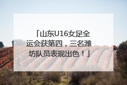 山东U16女足全运会获第四，三名潍坊队员表现出色！