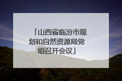 山西省临汾市规划和自然资源局党组召开会议