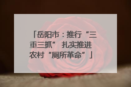 岳阳市：推行“三重三抓” 扎实推进农村“厕所革命”