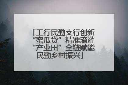 工行民勤支行创新“蜜瓜贷”精准滴灌“产业田”全链赋能民勤乡村振兴