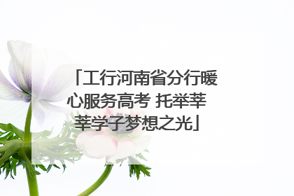 工行河南省分行暖心服务高考 托举莘莘学子梦想之光