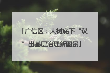 广信区：大树底下“议”出基层治理新图景