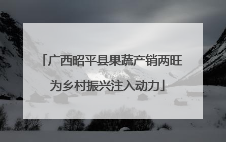 广西昭平县果蔬产销两旺 为乡村振兴注入动力