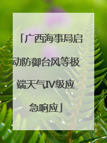 广西海事局启动防御台风等极端天气IV级应急响应