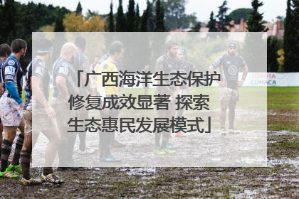 广西海洋生态保护修复成效显著 探索生态惠民发展模式