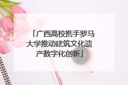 广西高校携手罗马大学推动建筑文化遗产数字化创新