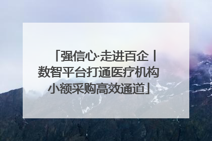 强信心·走进百企丨数智平台打通医疗机构小额采购高效通道