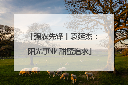 强农先锋丨袁延杰：阳光事业 甜蜜追求