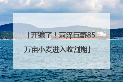 开镰了！菏泽巨野85万亩小麦进入收割期