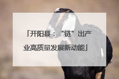开阳县：“链”出产业高质量发展新动能