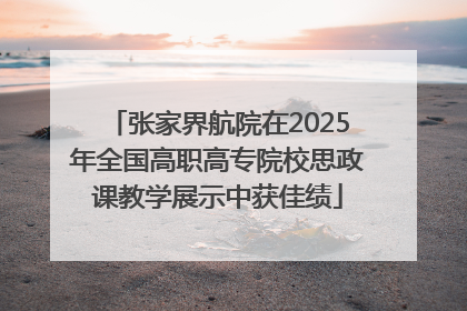 张家界航院在2025年全国高职高专院校思政课教学展示中获佳绩