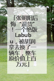 张朝阳后悔“退货”！一个绝版Labubu，被胡润拿去换了一辆车，整车原价值上百万元