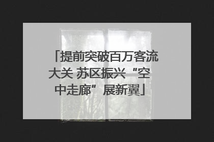 提前突破百万客流大关 苏区振兴“空中走廊”展新翼