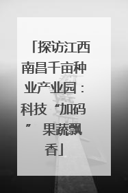 探访江西南昌千亩种业产业园：科技“加码” 果蔬飘香